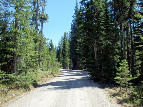 GDMBR: The Road is still Ashton-Flagg Ranch.
